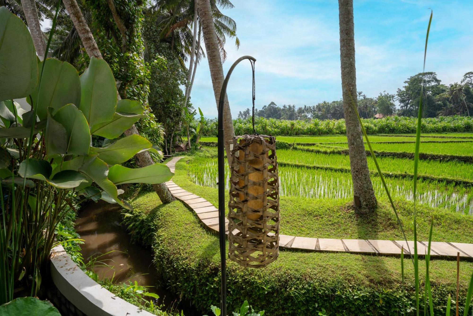 Fall In With Rose Moon Villa Ubud